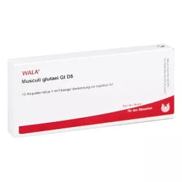 MUSCULI GLUTAEI GL D 5 ampul, 10X1 ml