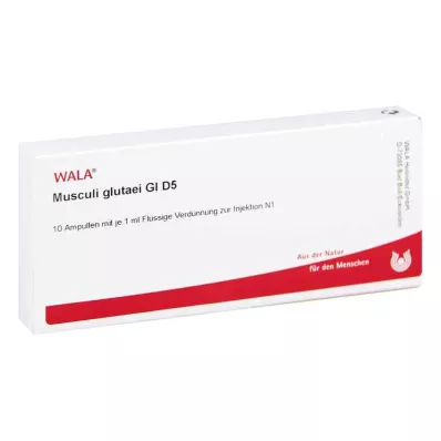MUSCULI GLUTAEI GL D 5 ampul, 10X1 ml MUSCULI GLUTAEI GL D 5 ampul, 10X1 ml