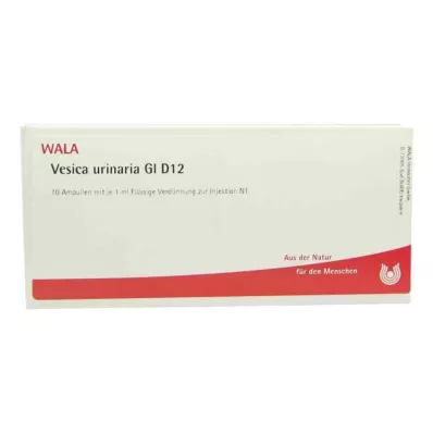 Vesica Urinaria Gl D12 ampule (10x1 ml) Vesica Urinaria Gl D12 ampule (10x1 ml)