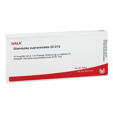 Glandulae suprarenalis GL D 12 ampul, 10X1 ml