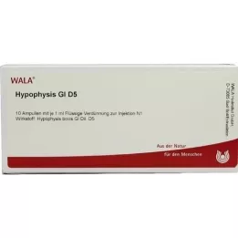 HYPOPHYSIS GL D 5 ampul, 10X1 ml