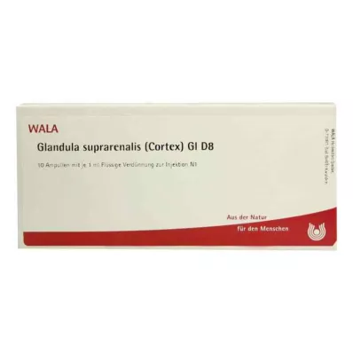 Glandula Surparen.Cort.Gl D8 ampule (10x1 ml) Glandula Surparen.Cort.Gl D8 ampule (10x1 ml)