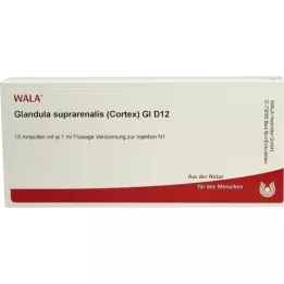 GLANDULA SUPRARENALES cortex GL D 12 ampul, 10X1 ml