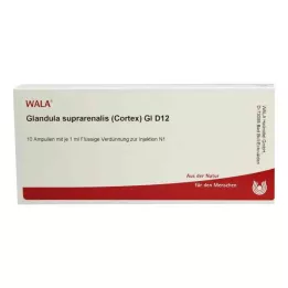 GLANDULA SUPRARENALES cortex GL D 12 ampul, 10X1 ml