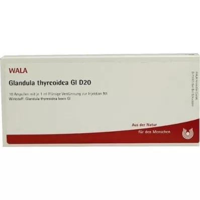 GLANDULA THYREOIDEA GL D 20 ampul, 10X1 ml