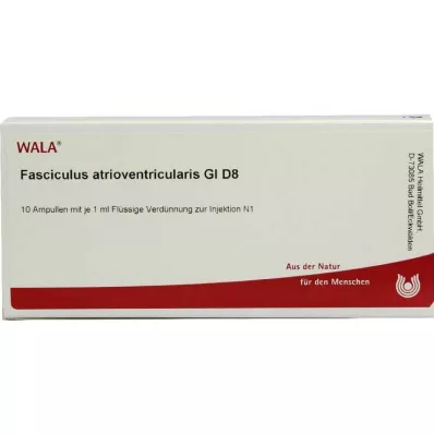 FASCICULUS atrioventricularis GL D 8 ampul, 10X1 ml