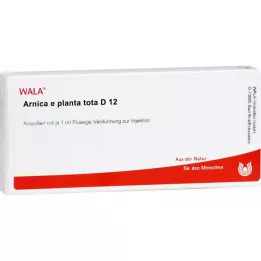 ARNICA E Planta tota D 12 ampul, 10X1 ml