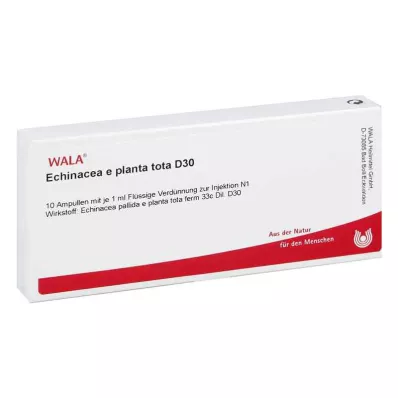 ECHINACEA E planta tota D 30 ampul, 10X1 ml ECHINACEA E planta tota D 30 ampul, 10X1 ml