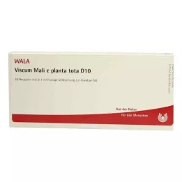 VISCUM MALI e planta tota D 10 ampul, 10X1 ml