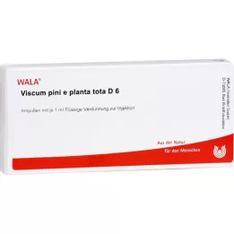 VISCUM PINI e planta tota D 6 ampul, 10X1 ml