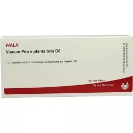 VISCUM PINI e planta tota D 8 ampul, 10X1 ml