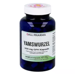 YAMSWURZEL 500 mg GPH Kapsule, 120 kapsul