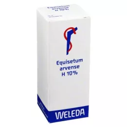 EQUISETUM ARVENSE H 10 % oljnata obloga, 50 ml