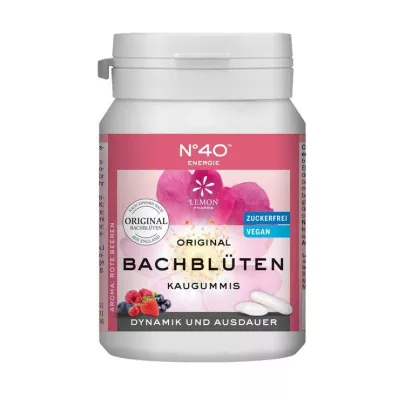 ENERGIE KAUGUMMI po Dr. Bachu 40 kosov ENERGIE KAUGUMMI po Dr. Bachu 40 kosov
