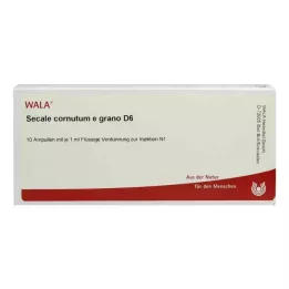 SECALE CORNUTUM E grano D 6 ampul, 10X1 ml