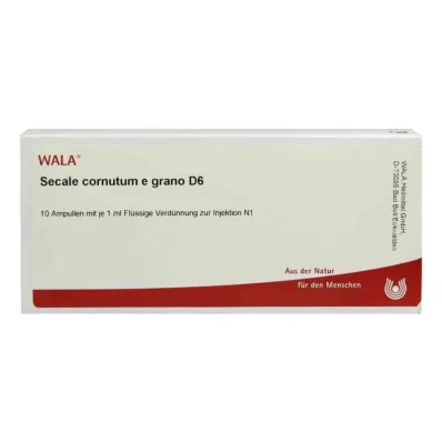 Secale Cornutum E Grano D6 ampule (10x1 ml) Secale Cornutum E Grano D6 ampule (10x1 ml)