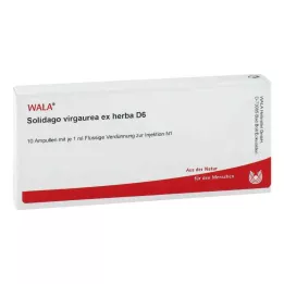 SOLIDAGO VIRGAUREA ex herba D 6 ampul, 10X1 ml