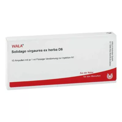 Solidago Virgaurea ex herba D6 ampule (10x1 ml) Solidago Virgaurea ex herba D6 ampule (10x1 ml)