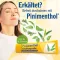 PINIMENTHOL Hladno mazilo Eucal/pine/menth, 100 g