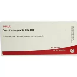 COLCHICUM E planta tota D 30 ampul, 10X1 ml