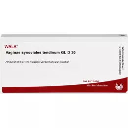 VAGINAE sinovialni tendinum GL D 30 ampul, 10X1 ml