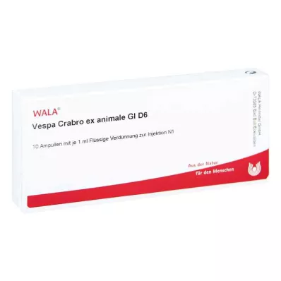 Vespa Crabro Ex Animale Gl D6 ampule (10x1 ml) Vespa Crabro Ex Animale Gl D6 ampule (10x1 ml)