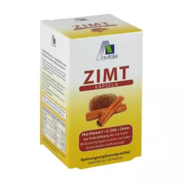 ZIMT KAPSELN 500 mg+vitamin C+E, 120 kosov