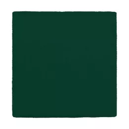 MULLKOMPRESSEN 10x10 cm 12x zelena, 100 kosov