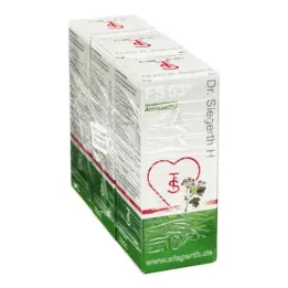 FS 53 Dr. Siegerth H tekočina, 3X100 ml