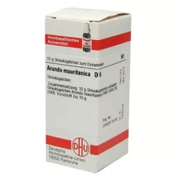 ARUNDO mauritanica D 6 kroglic, 10 g