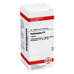 HAPLOPAPPUS D 6 tablete, 80 kapsul