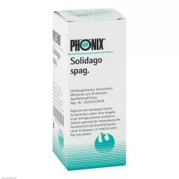 PHÖNIX SOLIDAGO mešanica špagetov, 100 ml