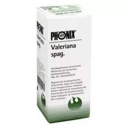 PHÖNIX VALERIANA mešanica špagetov, 100 ml