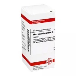 RHUS TOXICODENDRON C 6 tablet, 80 kapsul
