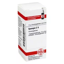 SPONGIA C 6 kroglic, 10 g