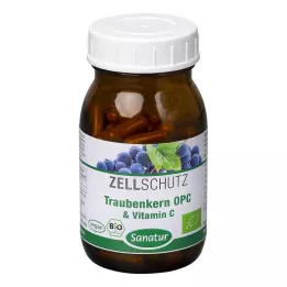 OPC TRAUBENKERN & Kapsule vitamina C, 90 kosov