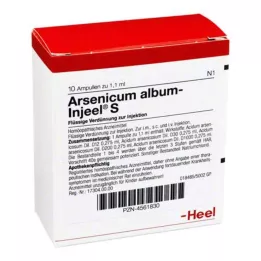 ARSENICUM ALBUM INJEEL S Ampule, 10 kosov