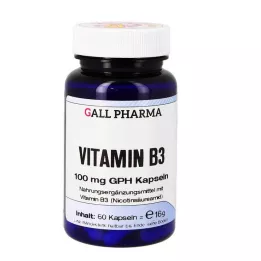 VITAMIN B3 100 mg GPH Kapsule, 60 kapsul
