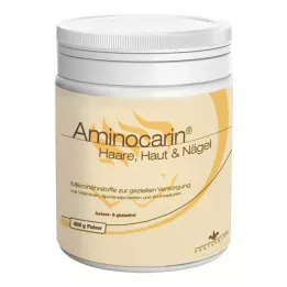 AMINOCARIN Kositer v prahu, 400 g