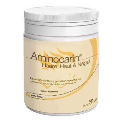 AMINOCARIN Kositer v prahu, 400 g AMINOCARIN Kositer v prahu, 400 g