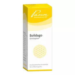 SOLIDAGO SIMILIAPLEX Kapljice, 50 ml