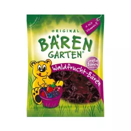 SOLDAN Gozdni sadeži z antioksidanti, 150 g