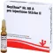 NEYCHON No.68 A pro injectione strength 2 ampuli, 5X2 ml
