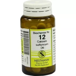 BIOCHEMIE 12 Calcium sulfuricum D 6 tablet, 100 kosov