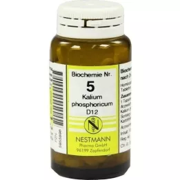 BIOCHEMIE 5 Potassium phosphoricum D 12 tablet, 100 kosov