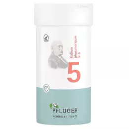 BIOCHEMIE Pflüger 5 Potassium phosphoricum D 6 tablet, 400 kosov