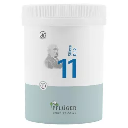BIOCHEMIE Pflüger 11 Silicea D 12 tablet, 1000 kapsul