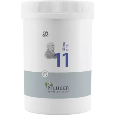 BIOCHEMIE Pflüger 11 Silicea D 12 tablet, 4000 kapsul