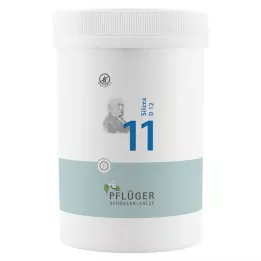 BIOCHEMIE Pflüger 11 Silicea D 12 tablet, 4000 kapsul