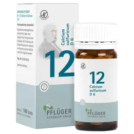 BIOCHEMIE Pflüger 12 Calcium sulphuricum D 6 tablet, 100 kosov